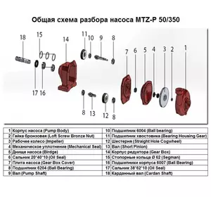 Гайка бронзова Loft Screw Bronze Nut поз.№2 до насоса MTZ-P 50/350, арт.1015512