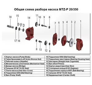 Гайка бронзова Loft Screw Bronze Nut поз.№2 до насоса MTZ-P 20/350, арт.1015502