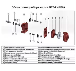 Гайка бронзова Loft Screw Bronze Nut поз.№2 до насоса MTZ-P 40/600, арт.1015510
