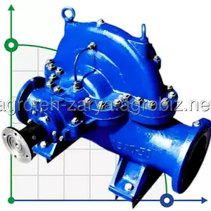 Насоси двостороннього входу Насоси двостороннього входу