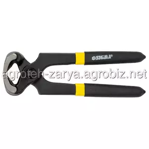 Кліщі Кліщі