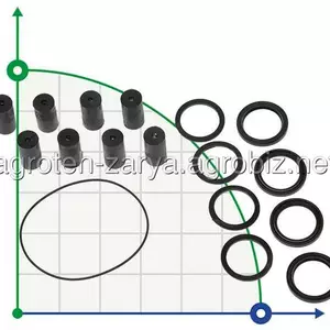 Запчастини до насосів Ferroni Запчастини до насосів Ferroni